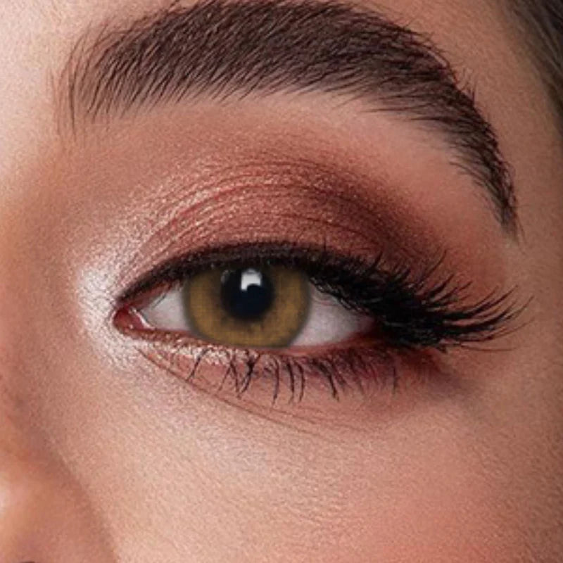 Veni Bassia Brown Lense VC-01
